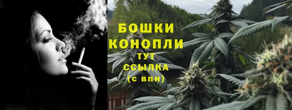 индика Вязники