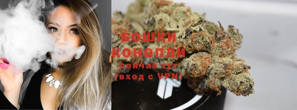 ПСИЛОЦИБИНОВЫЕ ГРИБЫ Вяземский