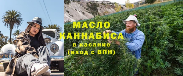 индика Вязники