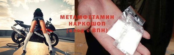 ПСИЛОЦИБИНОВЫЕ ГРИБЫ Вяземский