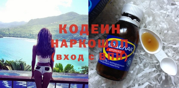 ПСИЛОЦИБИНОВЫЕ ГРИБЫ Вяземский