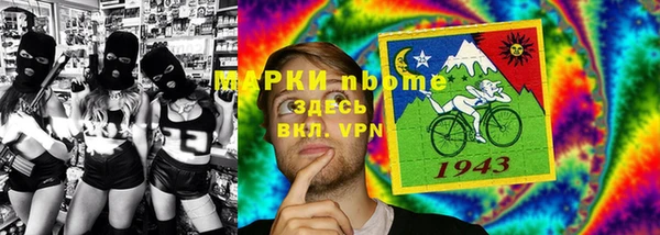 индика Вязники