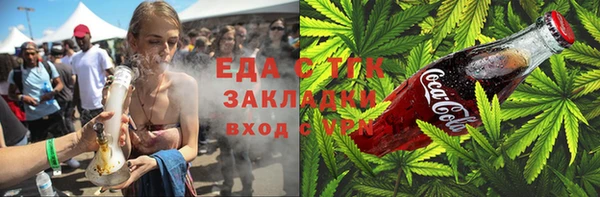 индика Вязники
