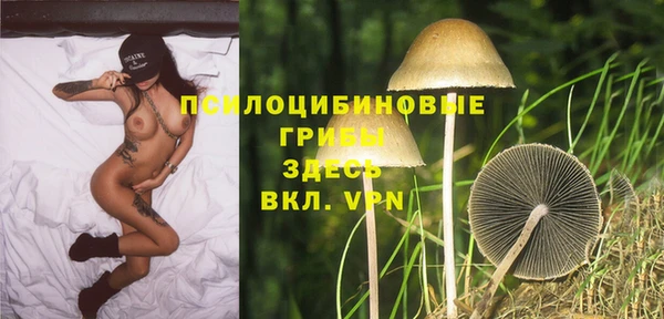 индика Вязники
