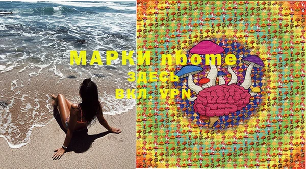 индика Вязники