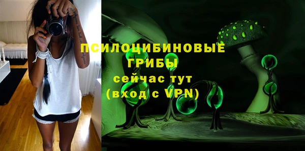 ПСИЛОЦИБИНОВЫЕ ГРИБЫ Вяземский