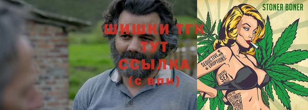 ПСИЛОЦИБИНОВЫЕ ГРИБЫ Вяземский